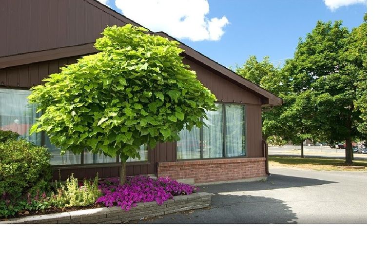 Ramada By Wyndham Kingston Motel Exterior foto